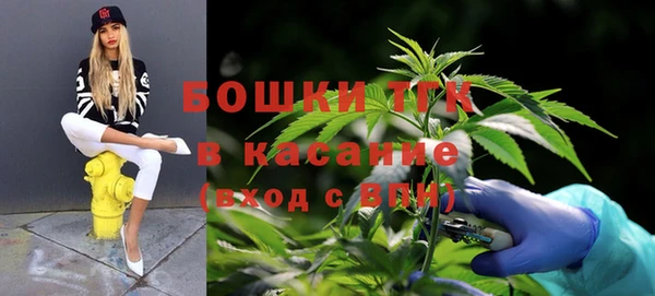 кокс Гусь-Хрустальный