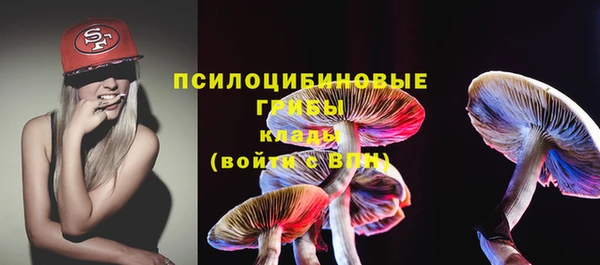 кокс Гусь-Хрустальный