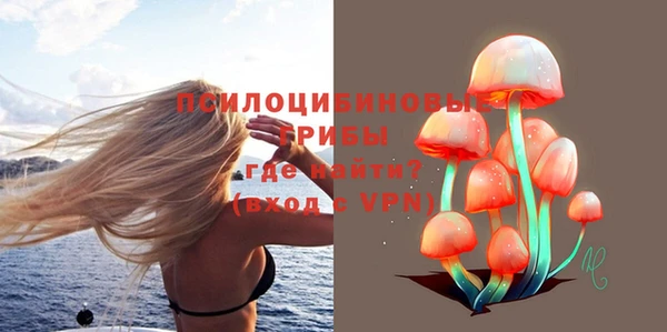хмурый Гусиноозёрск