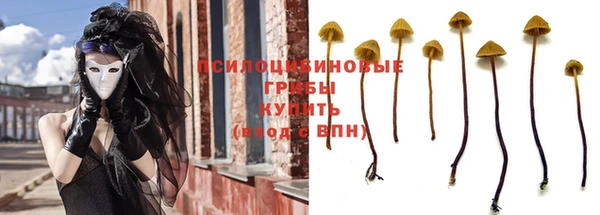 крисы Гусев