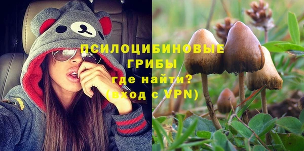 хмурый Гусиноозёрск