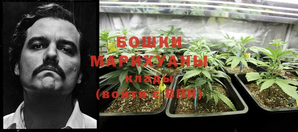 крисы Гусев