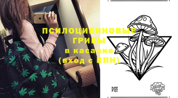 крисы Гусев