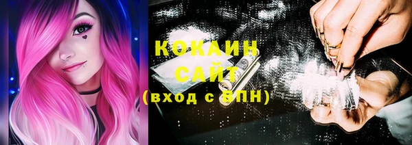 кокс Гусь-Хрустальный