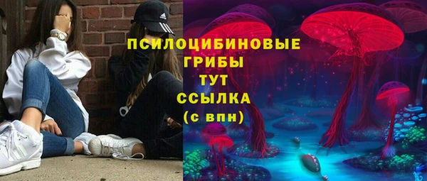 крисы Гусев