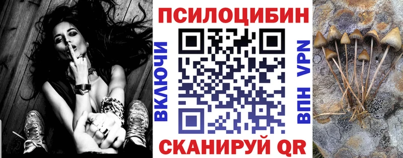 Псилоцибиновые грибы мицелий  купить наркоту  Правдинск 